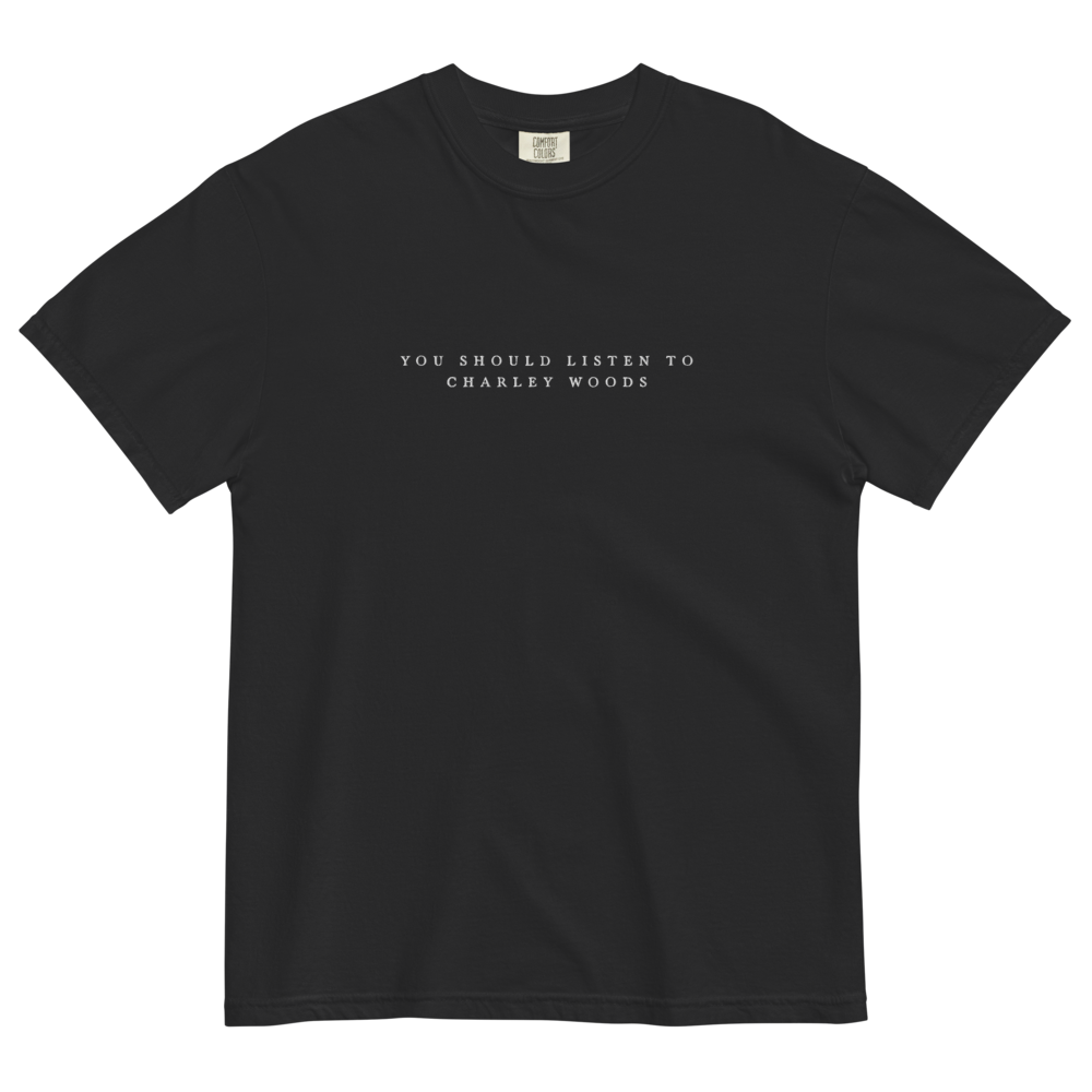 Embroidered Persuasion T-Shirt